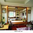 asian teak tan